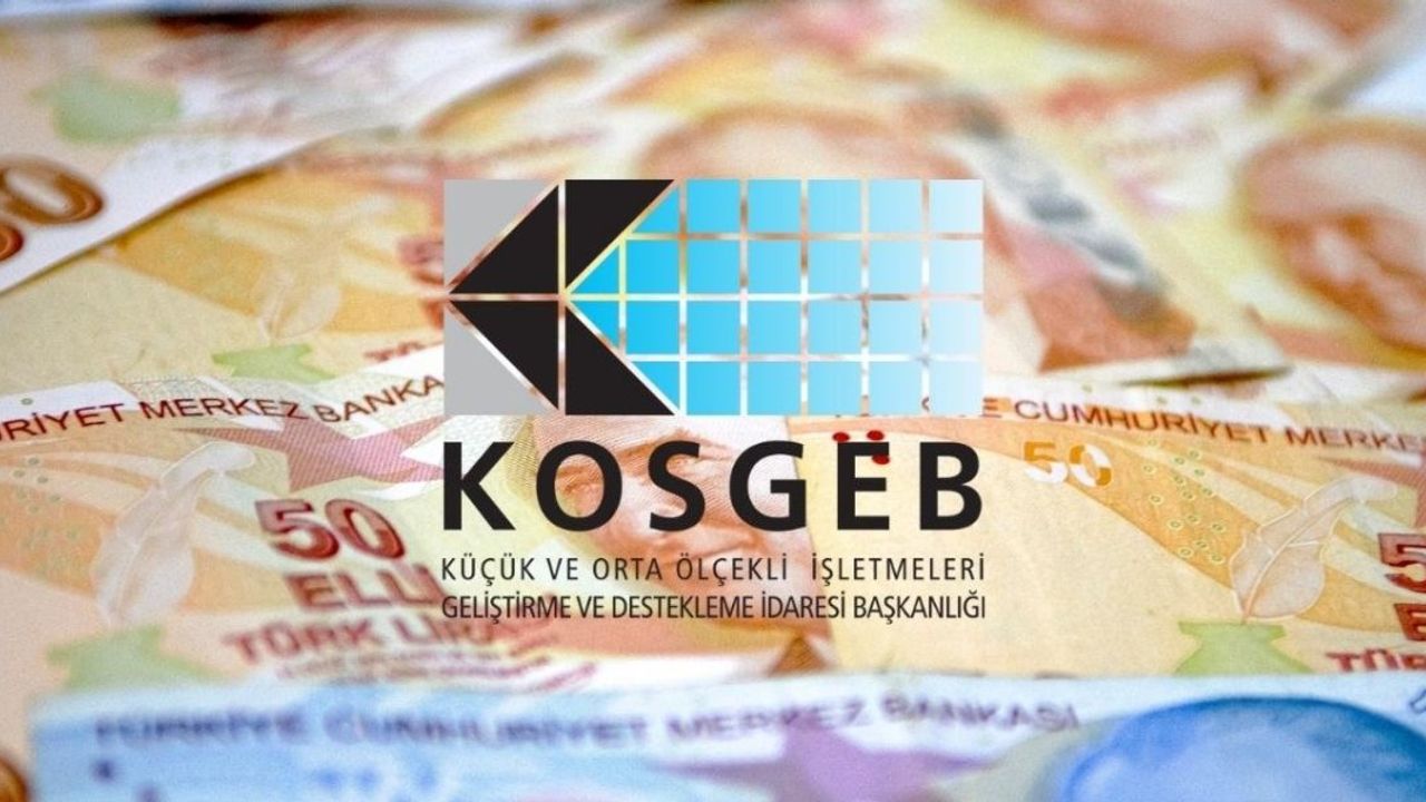 KOSGEB Faizsiz Kredi Fırsatı İle İleri Girişimci Destek Programı