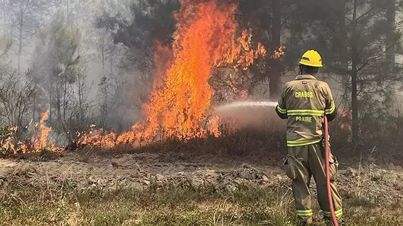 Texas'ta Orman Yangını: Huntsville Kentinde Büyük Tehlike