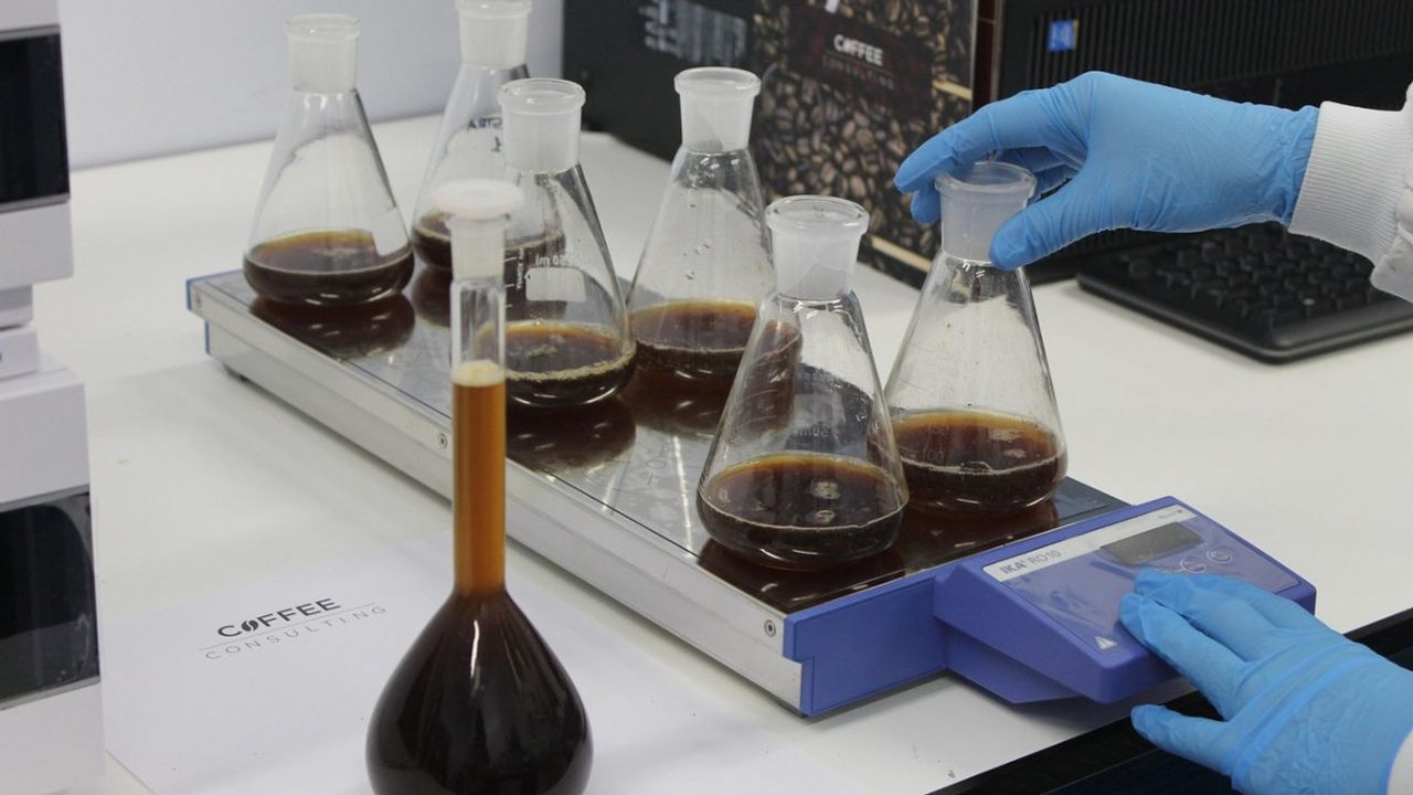 Kök Hücre Kullanılarak Geliştirilen Embriyo Modeli