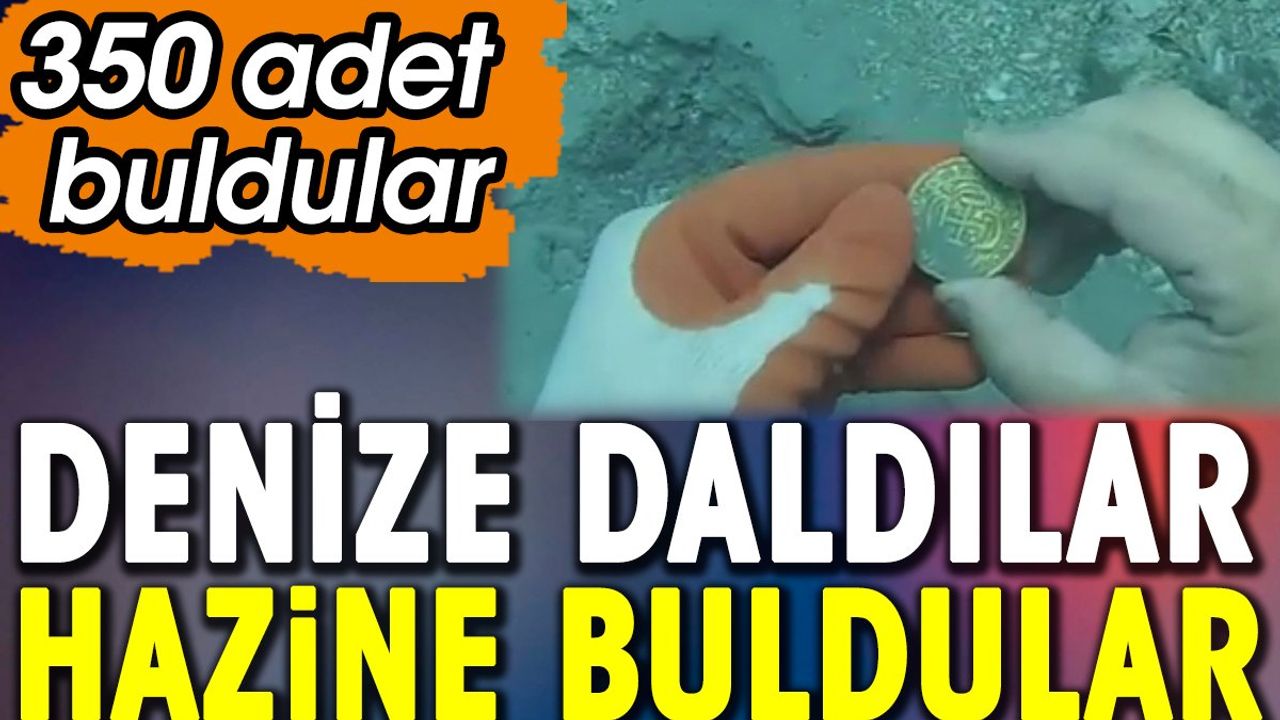 Denize Daldılar ve Hazine Buldular