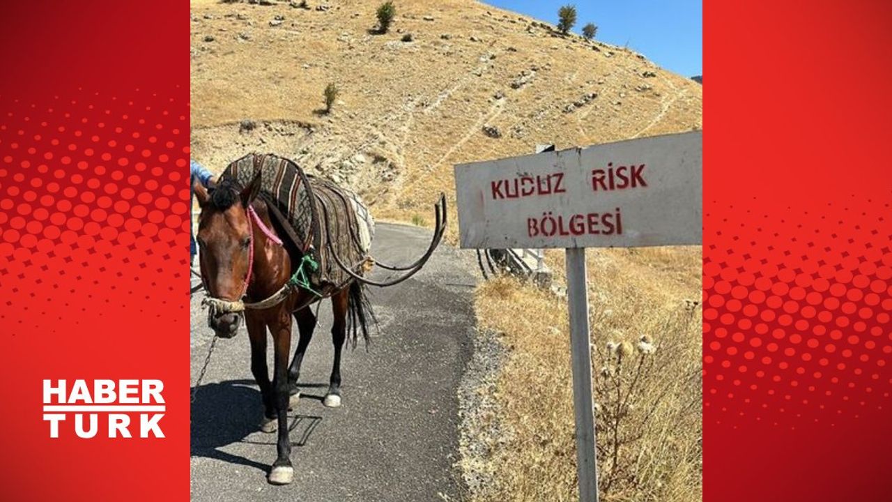 Gerger'de Kuduz Vakası: Çobanpınar Köyü Karantinaya Alındı