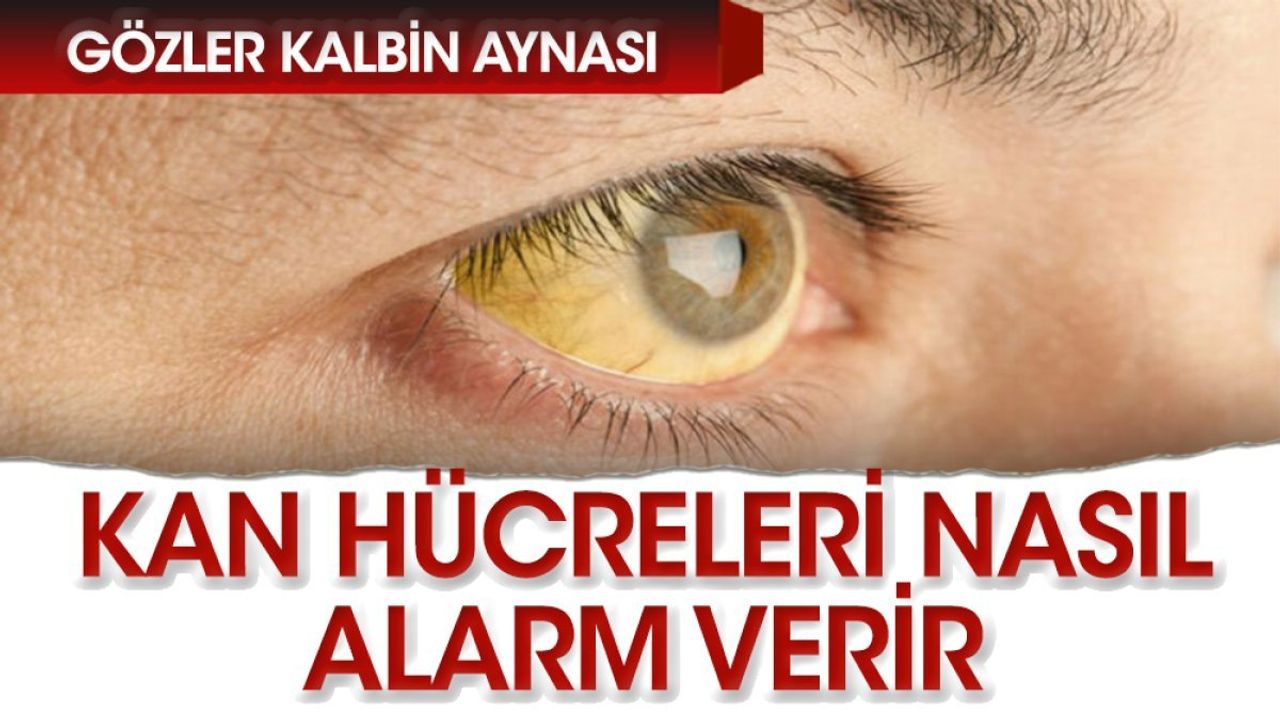 Kan Hücreleri Alarm Verir mi?