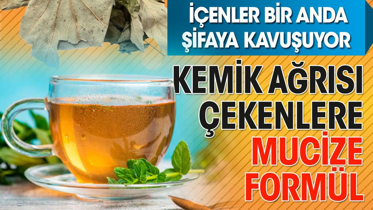 Çınar Yaprağının Kemiklere Faydaları ve Kullanımı