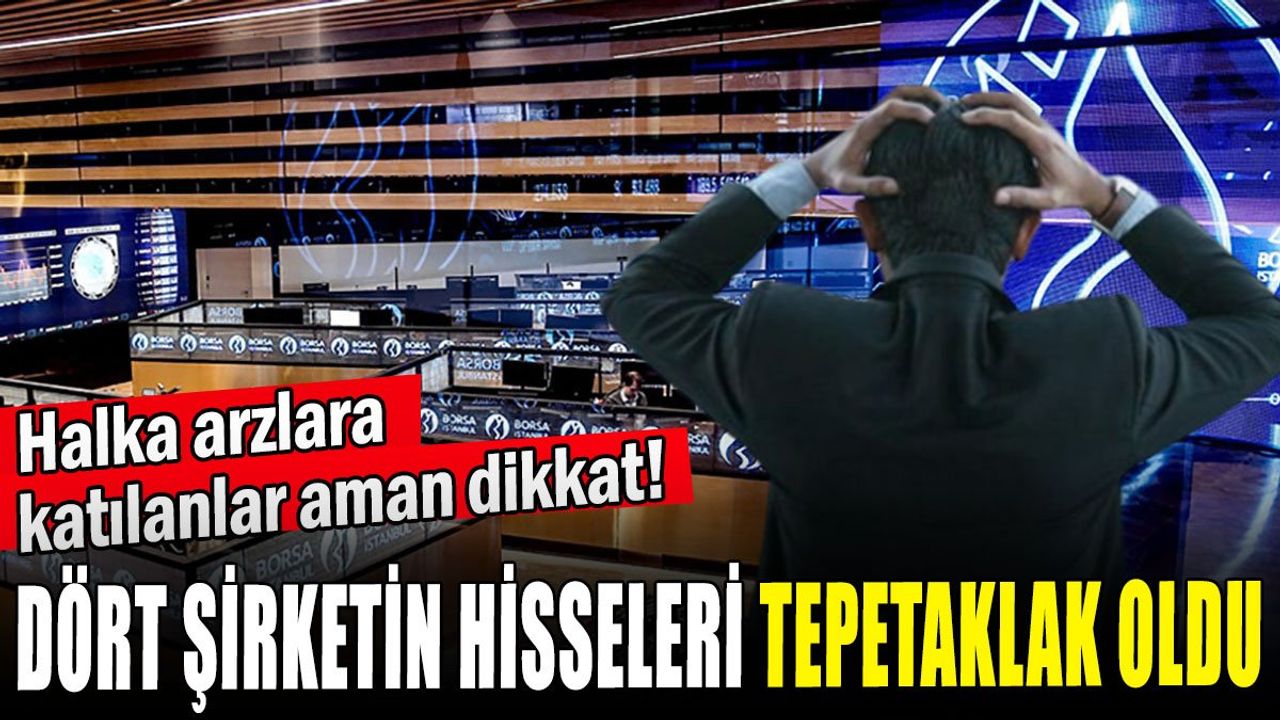 Halka Arz Edilen Şirketlerin Hisseleri Tepetaklak Oldu