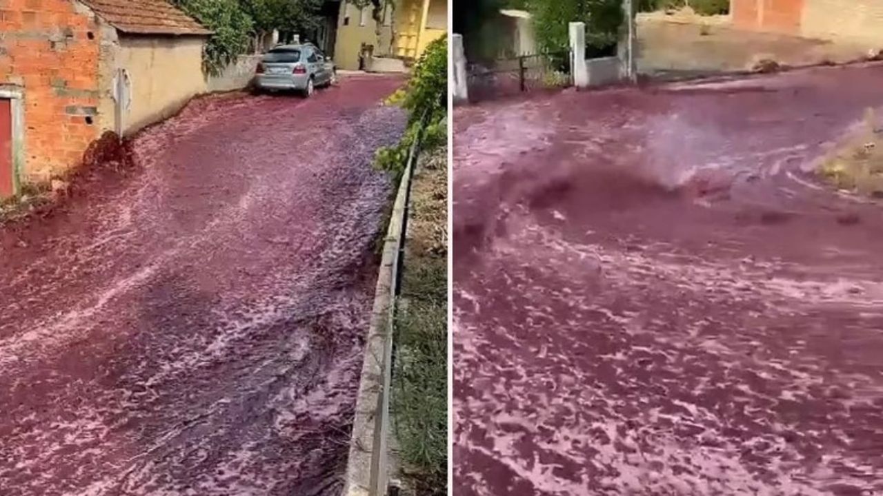 Portekiz'de İçki Tankları Çöktü: São Lourenco do Bairro Kasabası İçki Nehrine Döndü