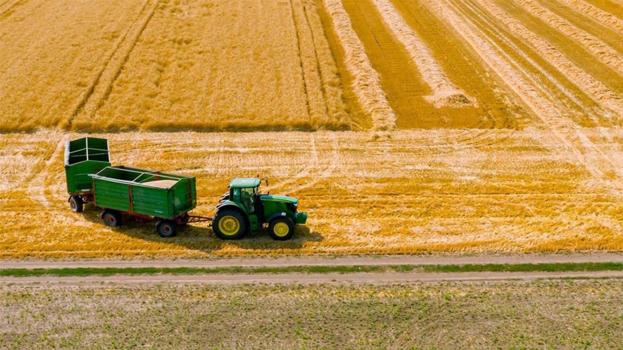 TOBB Güncellemesiyle Buğday ve Arpa Fiyatları Belli Oldu