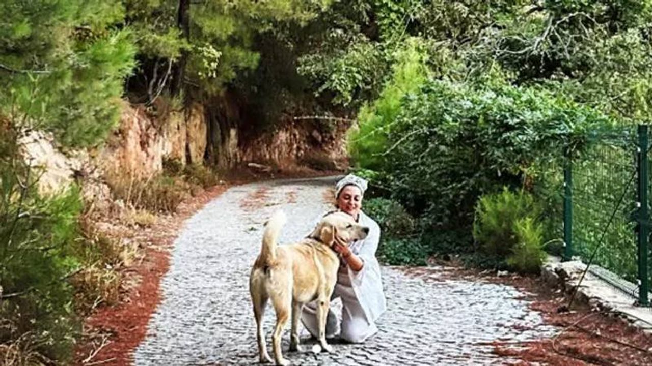 Aslıhan Gürbüz, Sosyal Medyada Takipçisine Sert Tepki Gösterdi