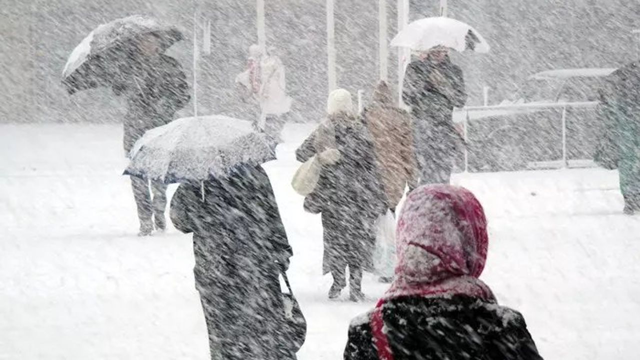 Leyleklerin Erken Göç Etmesi Kışın Sert Geçeceğinin İşareti