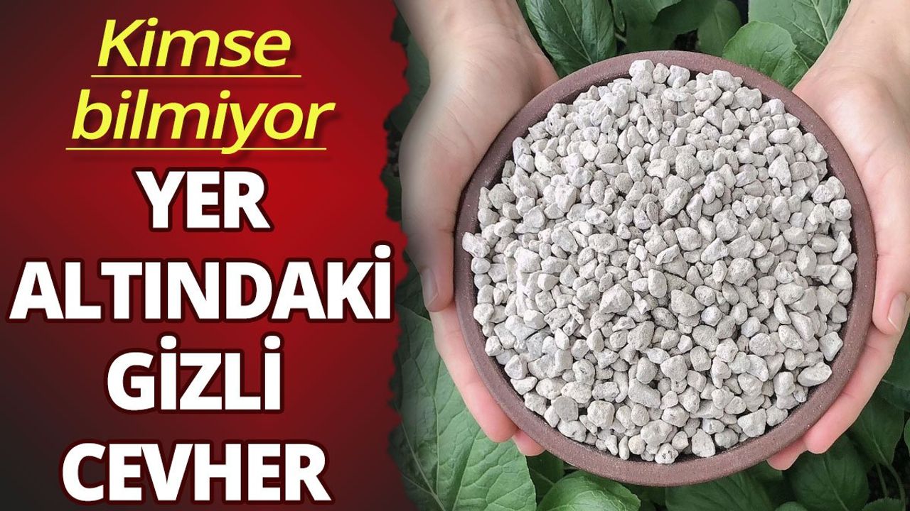Doğu Anadolu Bölgesi'nin Maden Zenginliği ve Potansiyeli