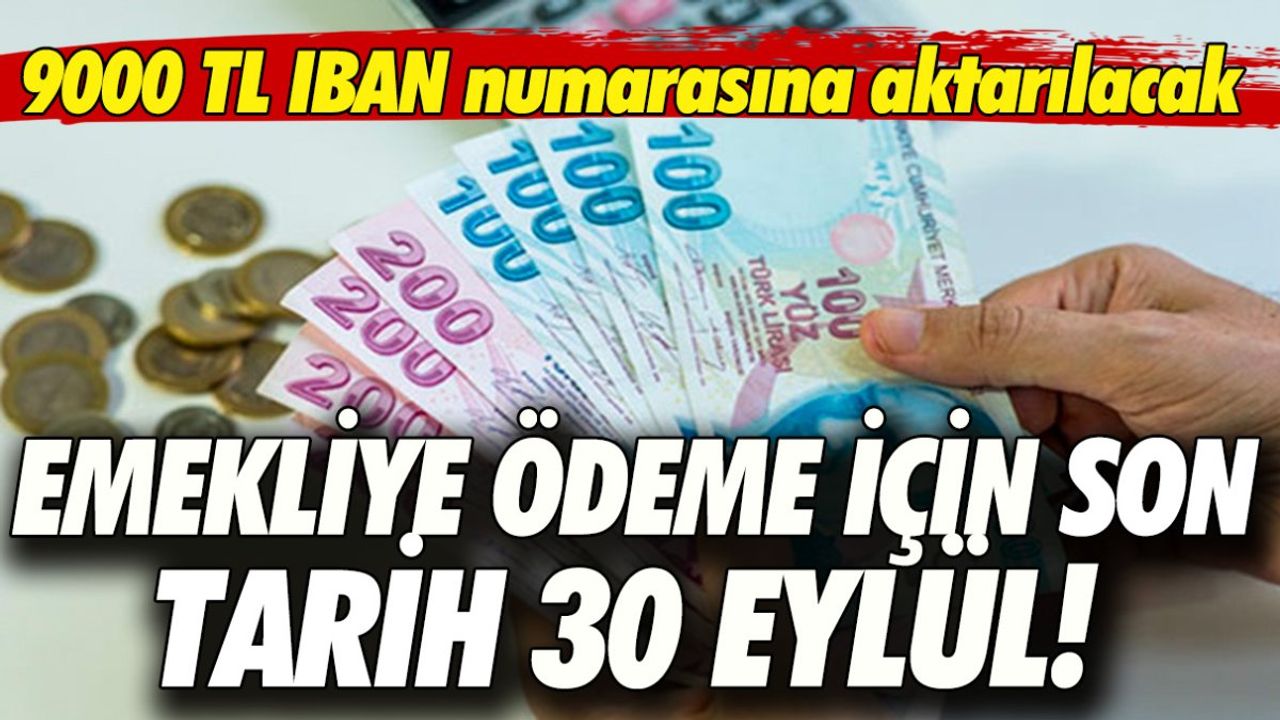 Emekliye Ödeme İçin Son Tarih 30 Eylül!