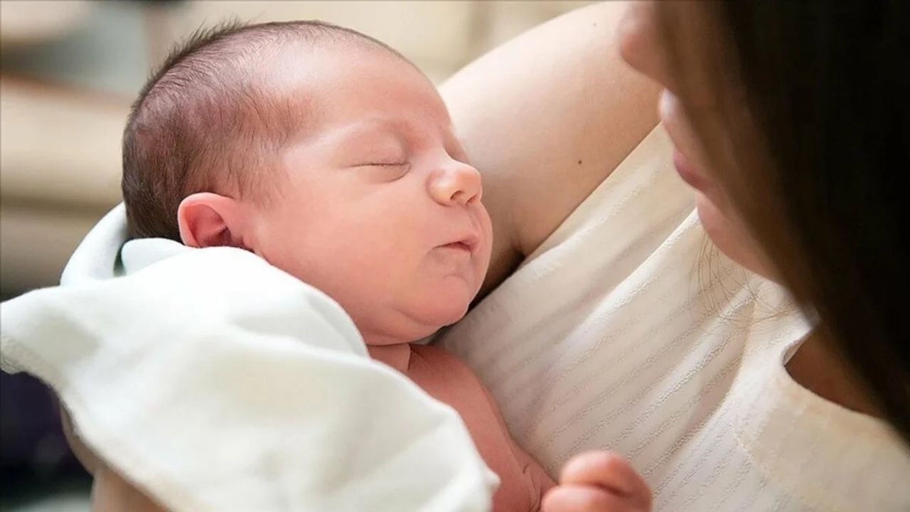 Sütü Az Gelen Anneler İçin İlaç Gibi Bitki: Kuzukulağı