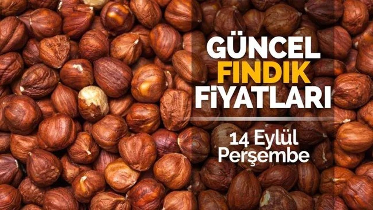 Karadeniz'de Fındık Fiyatları Yükseliyor