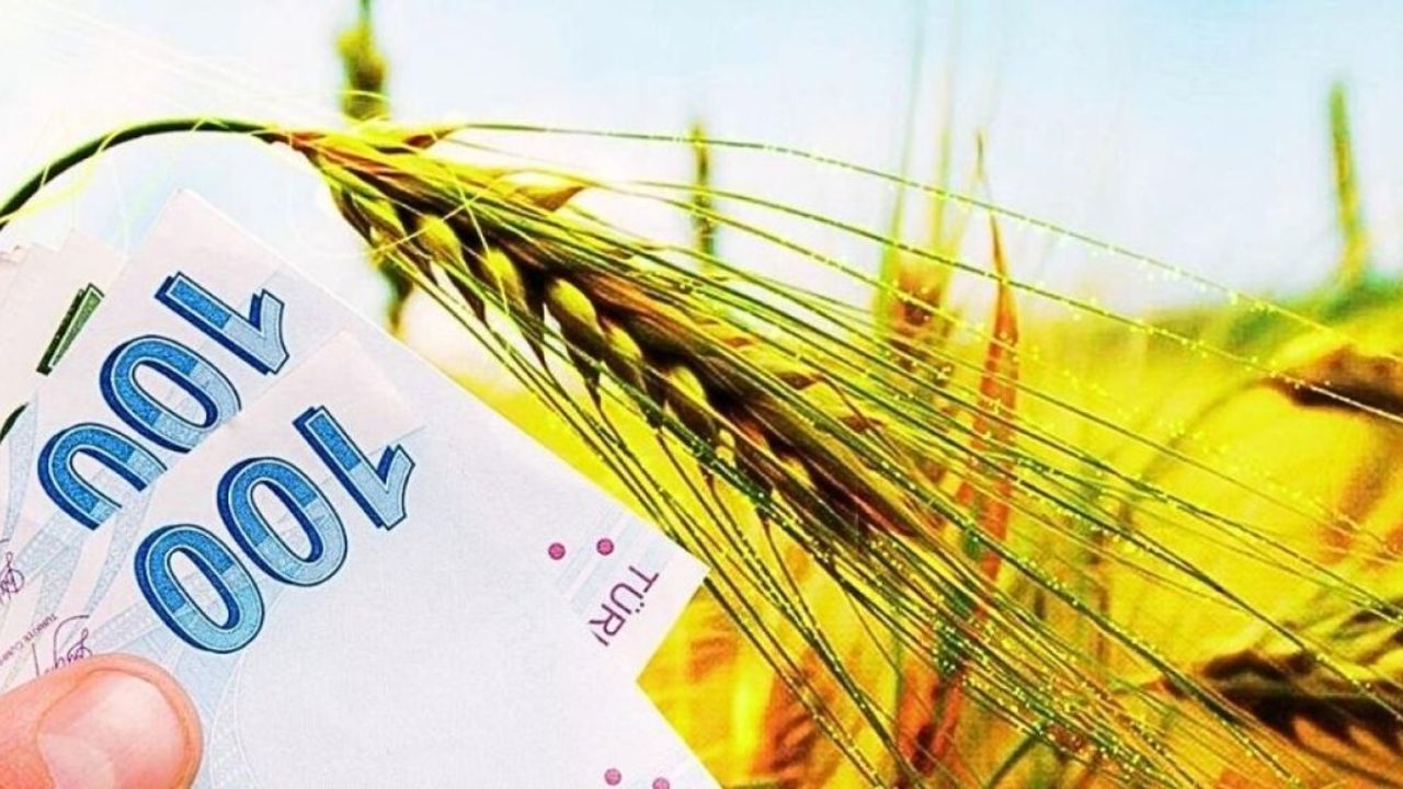 250 BİN TL Hibe Kulağa HOŞ GELİYOR! Kadınlar ve Gençler İÇİN Tarım ve Orman Bakanlığı'nın Uzman Eller Projesi