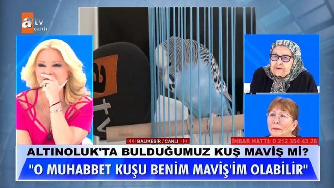 Müge Anlı ile Tatlı Sert Programında Kayıp Kuş Maviş'in Bulunması