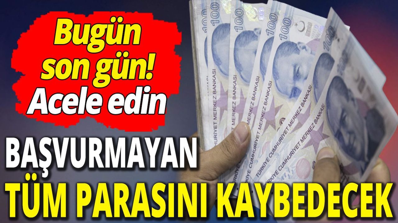 Başvurmayan Tüm Parasını Kaybedecek! Banka Hesaplarına Dikkat
