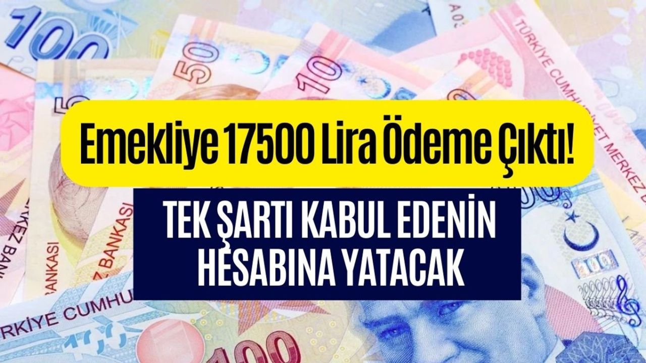 4A, 4B, 4C Emeklisine 17500 Lira Ödenecek! Emekliye Eylül Müjdesi Geldi