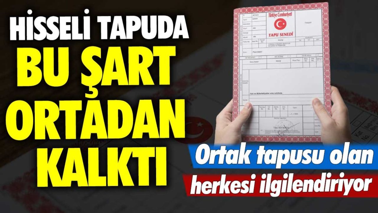 Hisseli Tapuda Yeni Düzenleme: Miras ve Hisseli Tapu Devri Nasıl Yapılır?