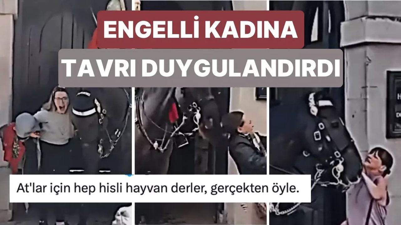 Kraliyet Atı İnsanları İtme, Isırma ve Tekmelemeyle Şaşırttı