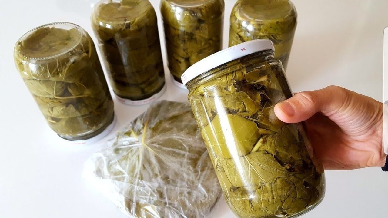 Kış İçin Sarmalık Yaprakları Nasıl Saklayabilirsiniz?