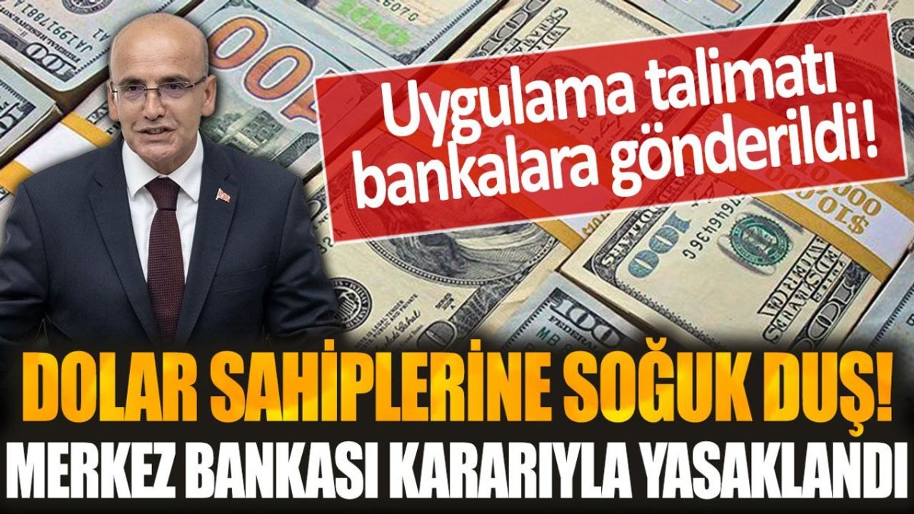 Dolar Sahiplerine Soğuk Duş! Merkez Bankası Kararıyla Resmen Yasaklandı