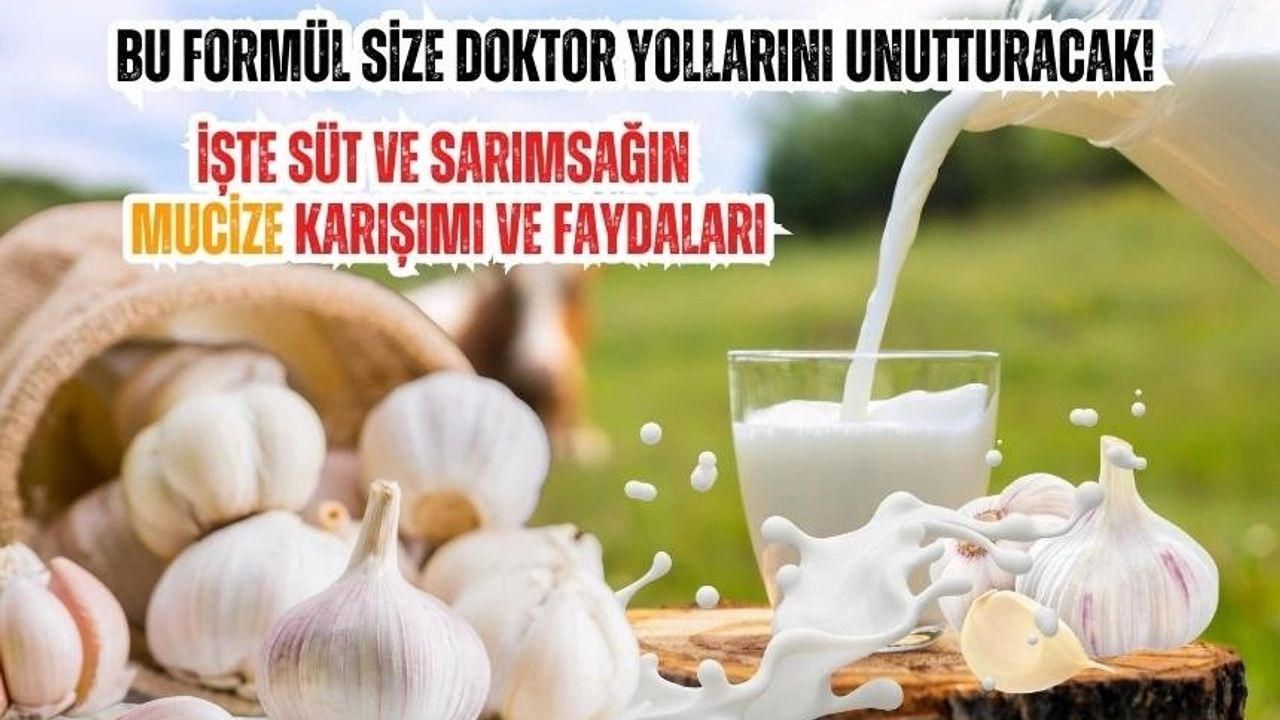 Sarımsak ve Süt Karışımının Sağlığa Faydaları