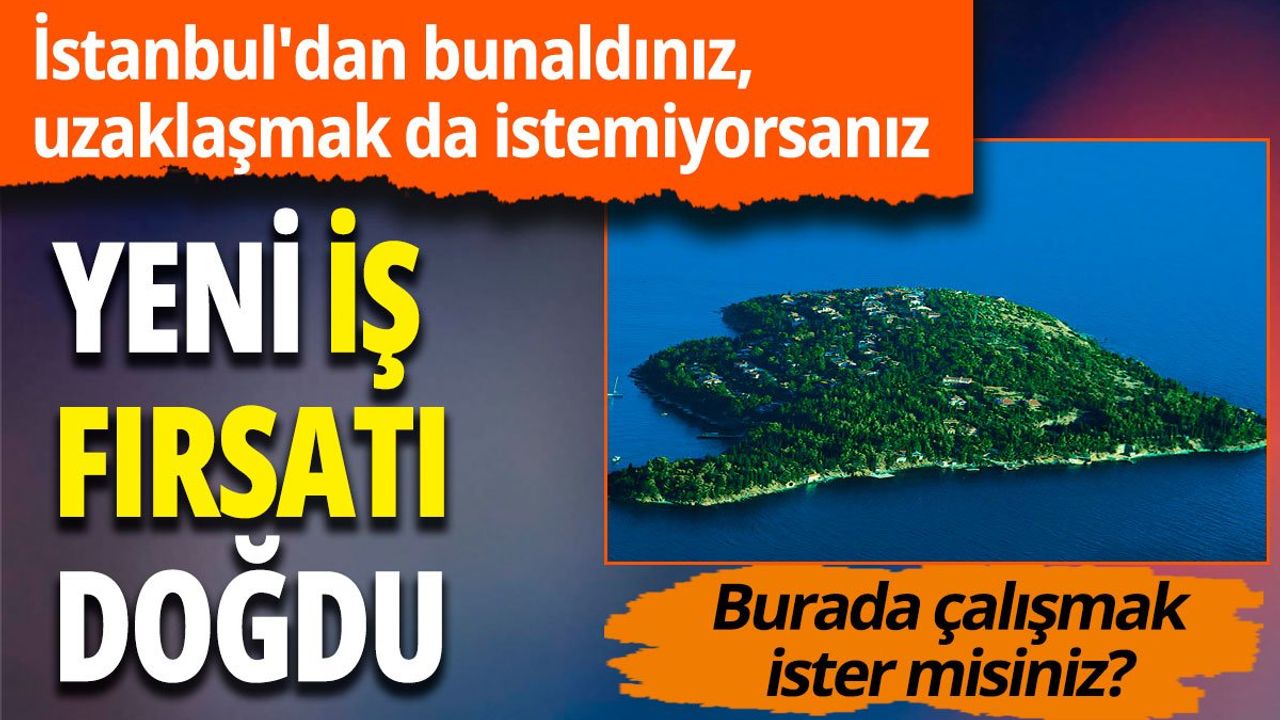 İstanbul Adalar Belediyesi Memur ve Zabıta Alımı