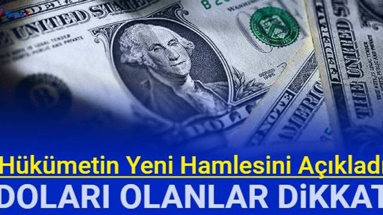 Doları Olanlar İçin Yeni Düzenleme: Ünlü Ekonomistten Son Dakika Açıklaması