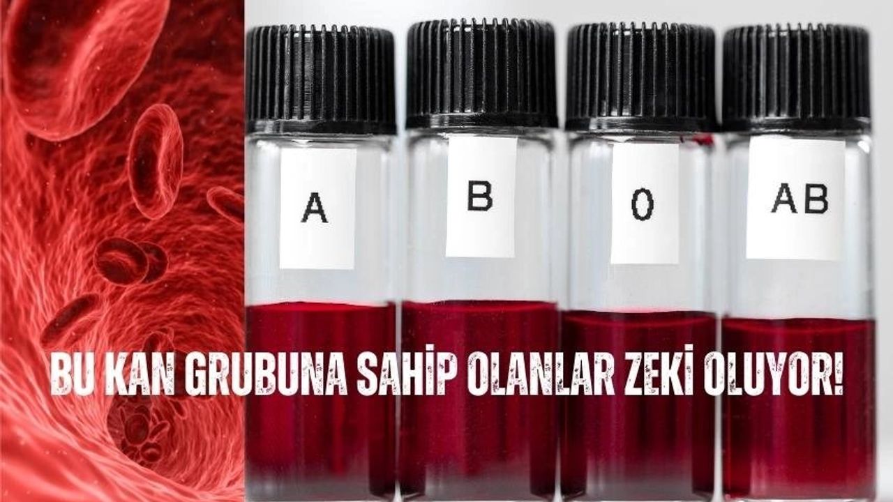 AB Kan Grubu ve Zeka İlişkisi