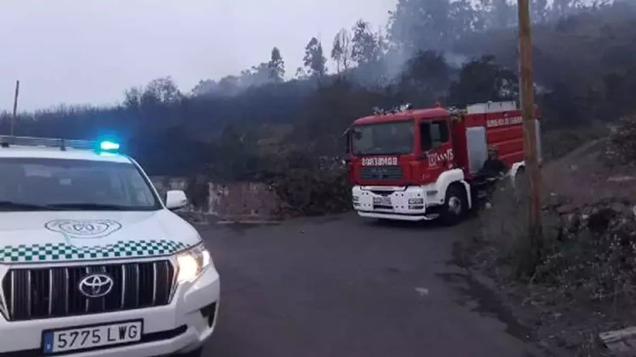 Kanarya Adaları'nda Orman Yangını Çıktı