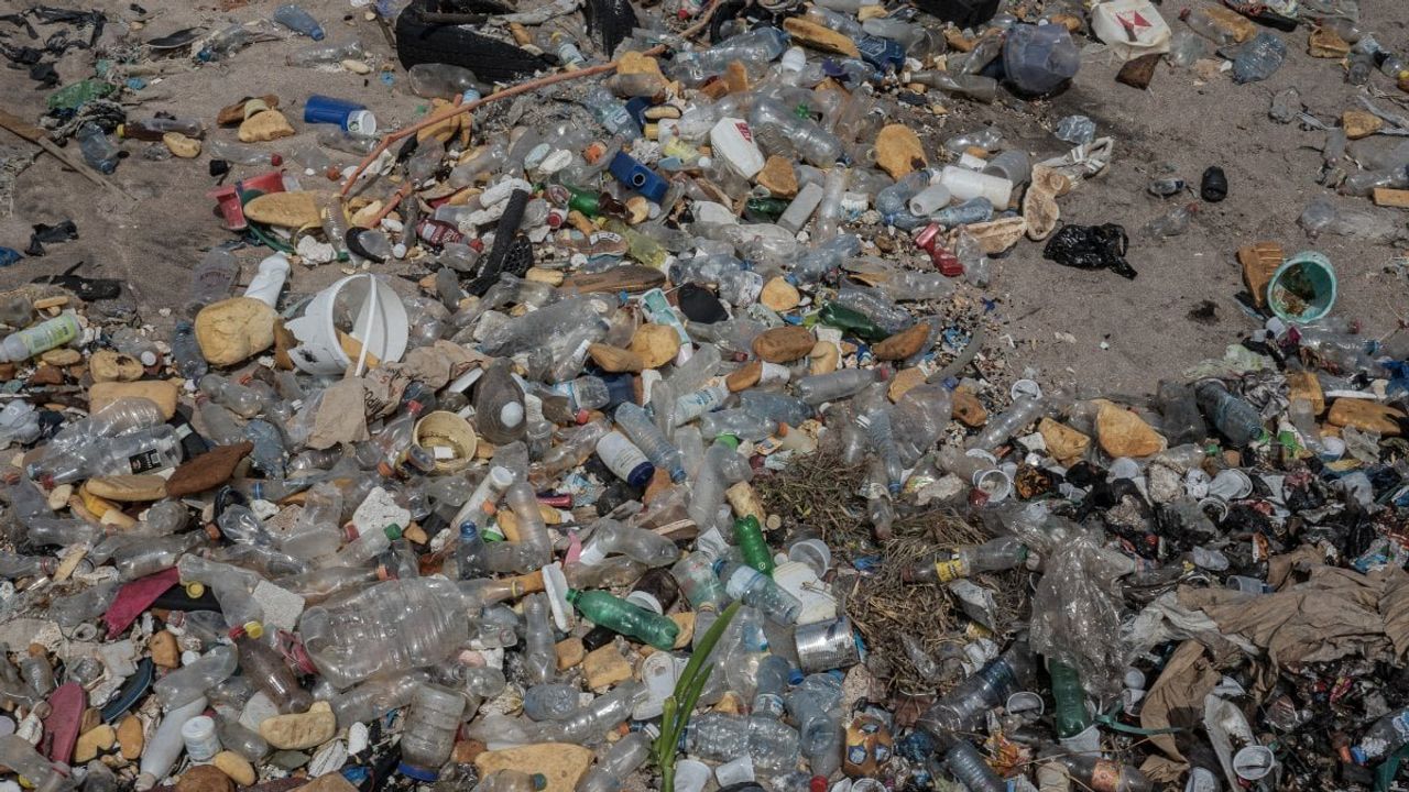 Gine Sahillerindeki Çöp Yığınları Çevre ve İnsan Sağlığı İçin Tehlike Oluşturuyor