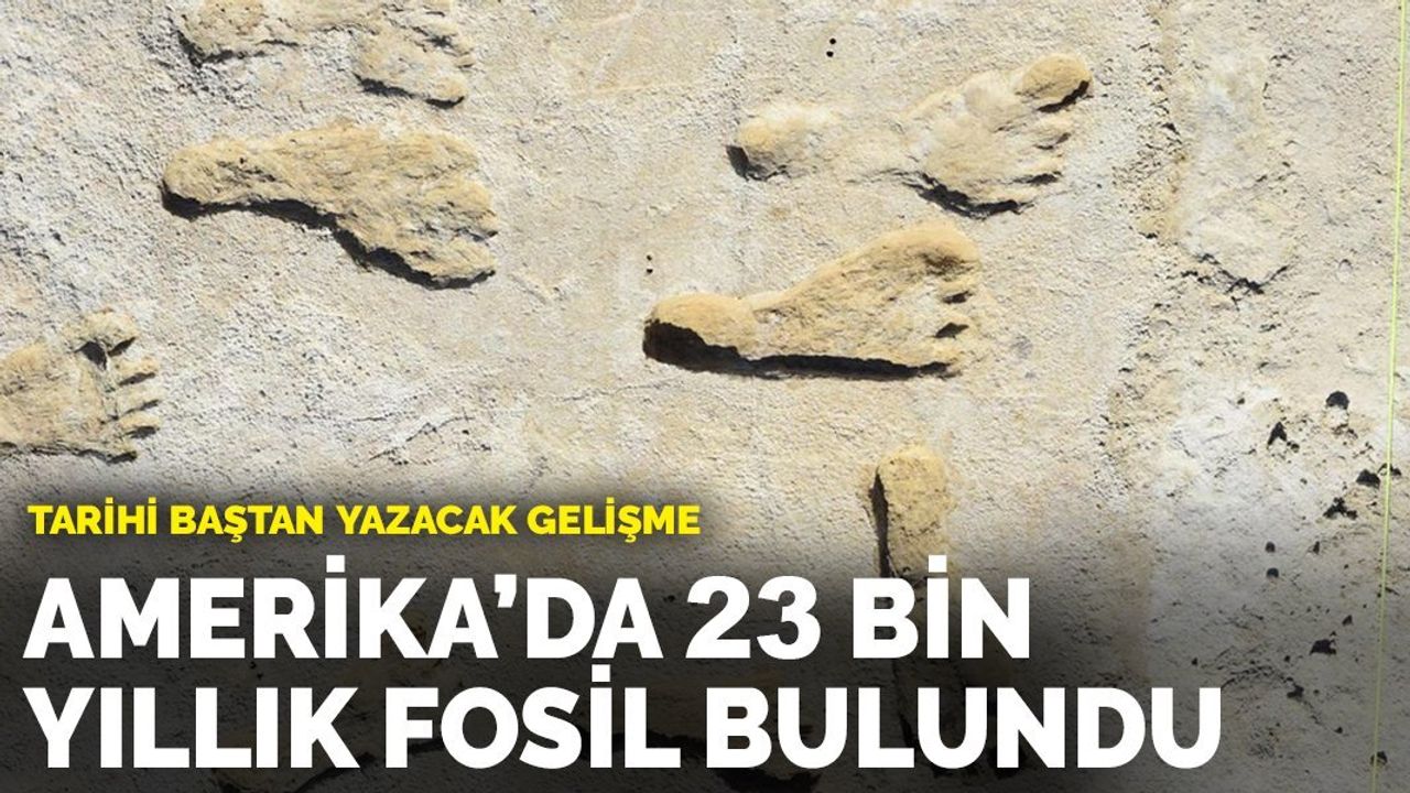 Tarihi baştan yazacak gelişme: Amerika'da 23 bin yıllık fosil bulundu