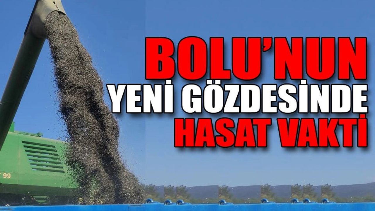 Tarım Arazilerinin Kullanımının Etkinleştirilmesi Projesi ile Ayçiçeği Hasatları Başladı