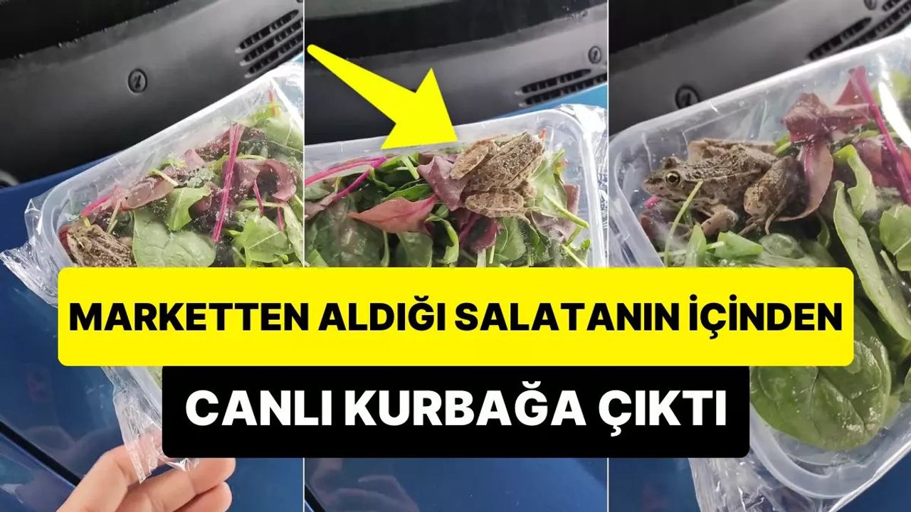 Almanya Merkezli İndirim Marketi Zincirinde Şok Edici Olay