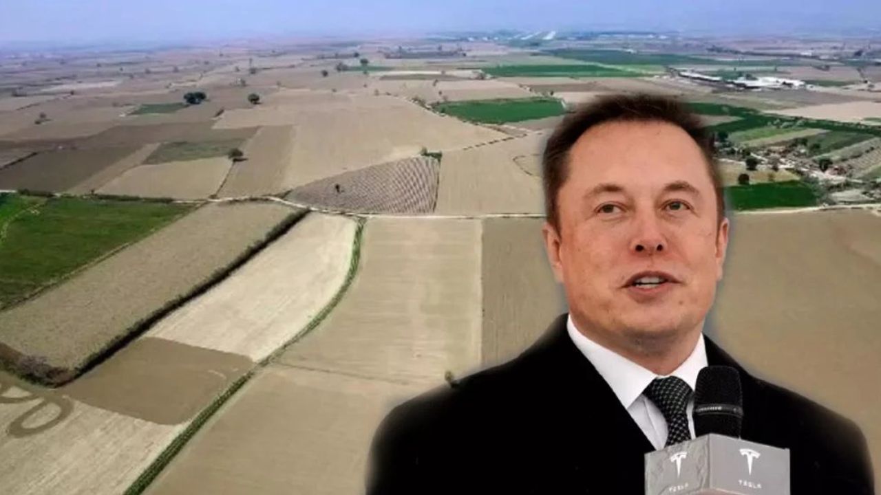 Elon Musk Türkiye'ye Yatırım Yapmayı Planlıyor