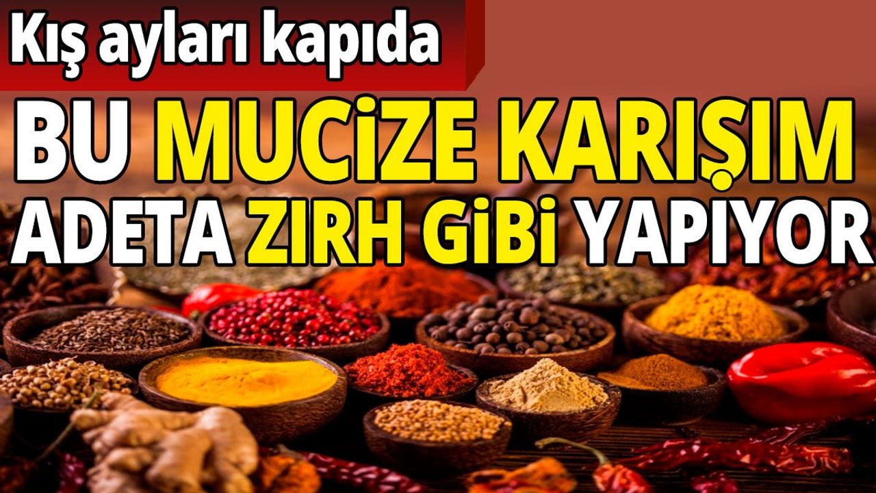 Kış ayları kapıda: Bu mucize karışım adeta zırh gibi yapıyor