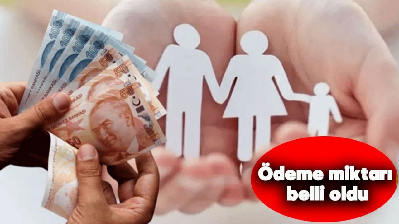 Aile Bakanlığı tarafından verilen Doğum Yardımı