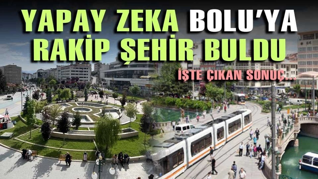 Yapay Zeka Araştırması: Bolu ve Eskişehir Karşılaştırması