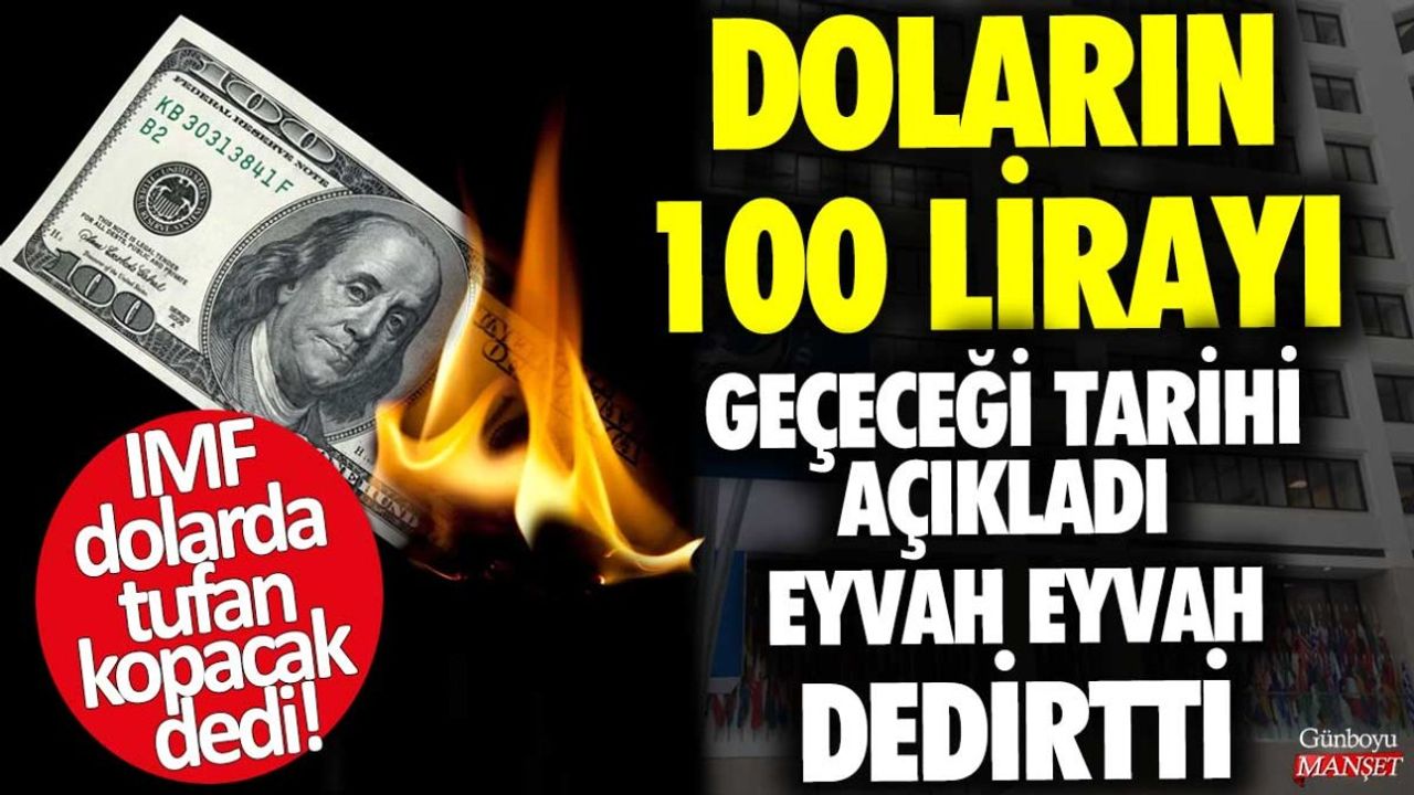 IMF Türkiye'nin Dolar Krizi Tahminini Açıkladı