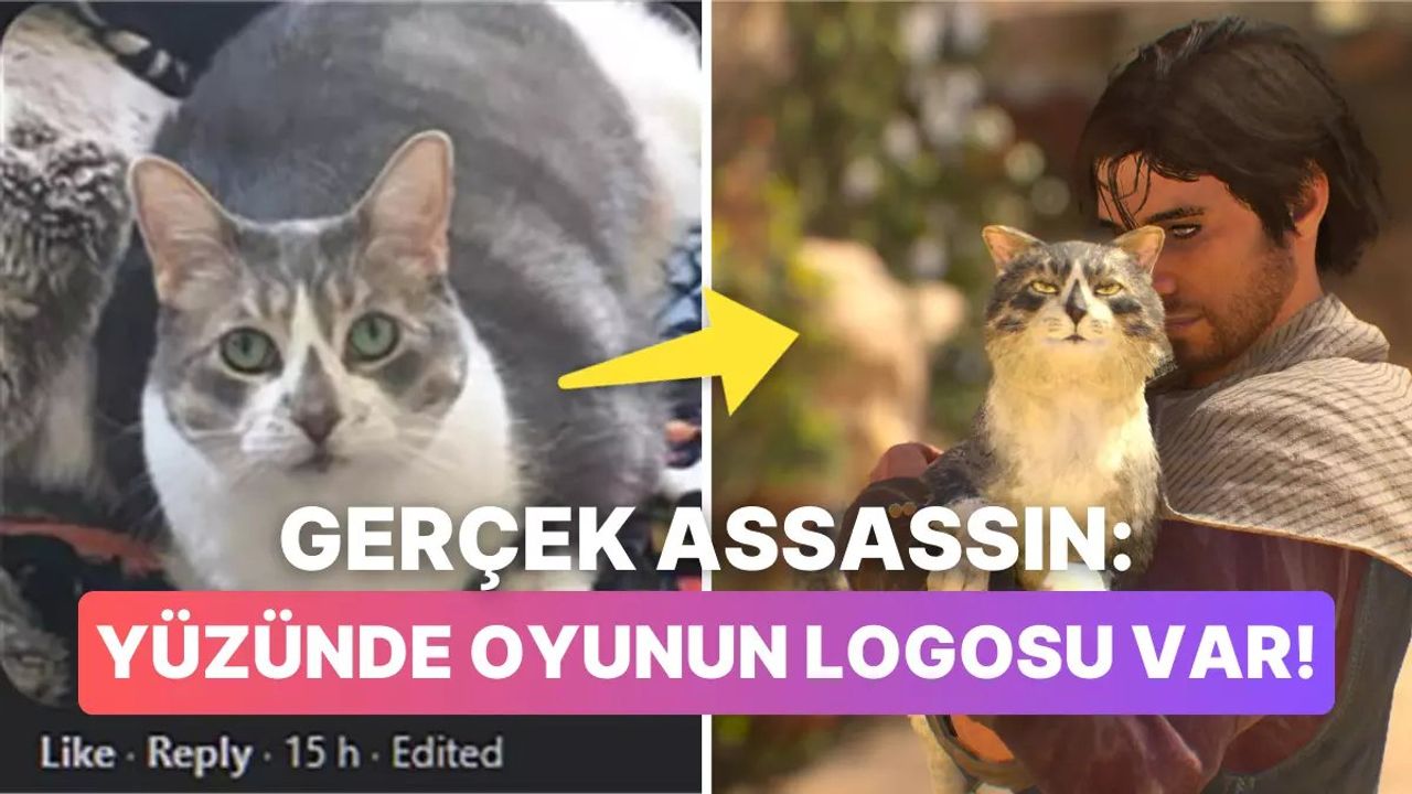 Assassin's Creed Mirage: Oyun Dünyasında Bir Kedinin Hikayesi