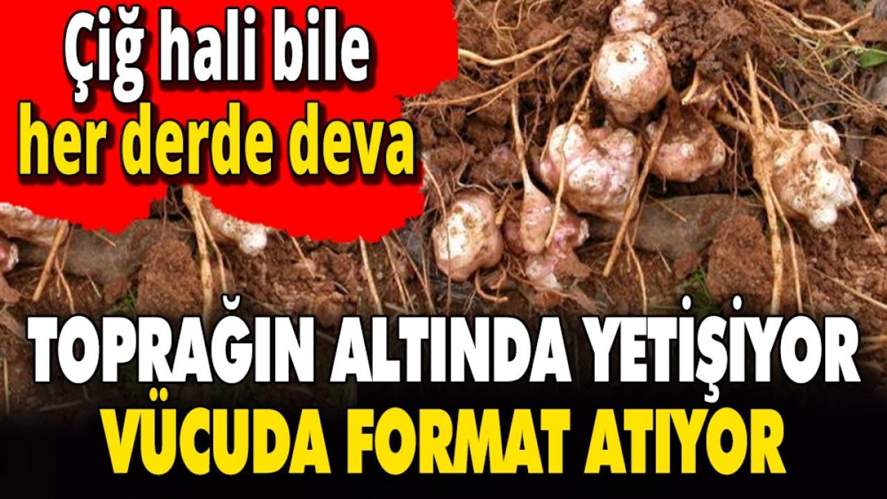 Yer Elması: Sağlık İçin Yararları ve Özellikleri