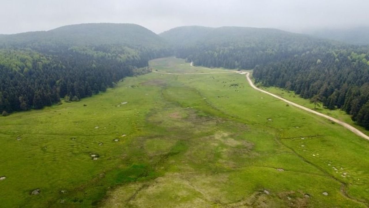 Doğal Yaşamın Merkezi: At Yaylası