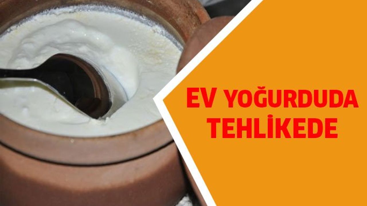 Ev Tipi ve Endüstriyel Yoğurt Arasındaki Farklar