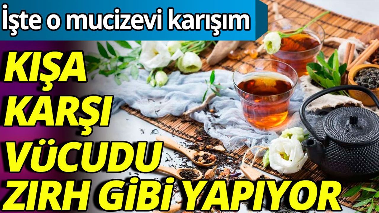 Kışa karşı vücudu zırh gibi yapıyor: İşte o mucizevi karışım