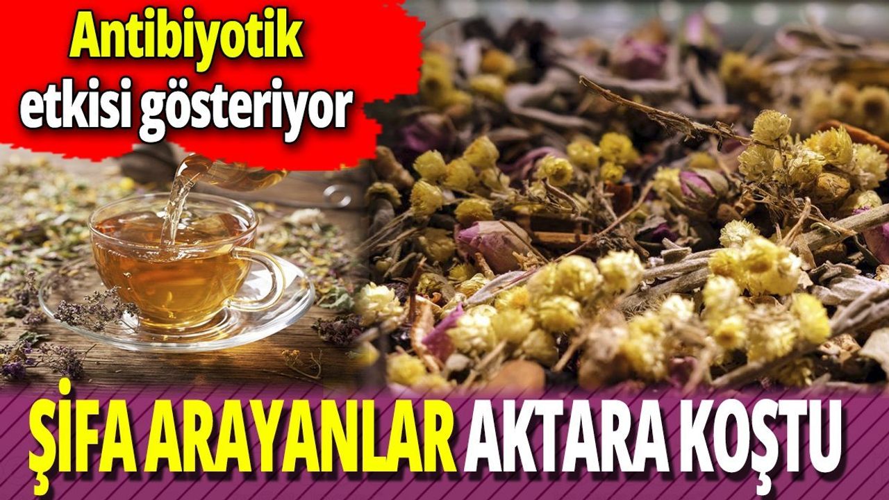 Şifa Arayanlar Aktara Koştu