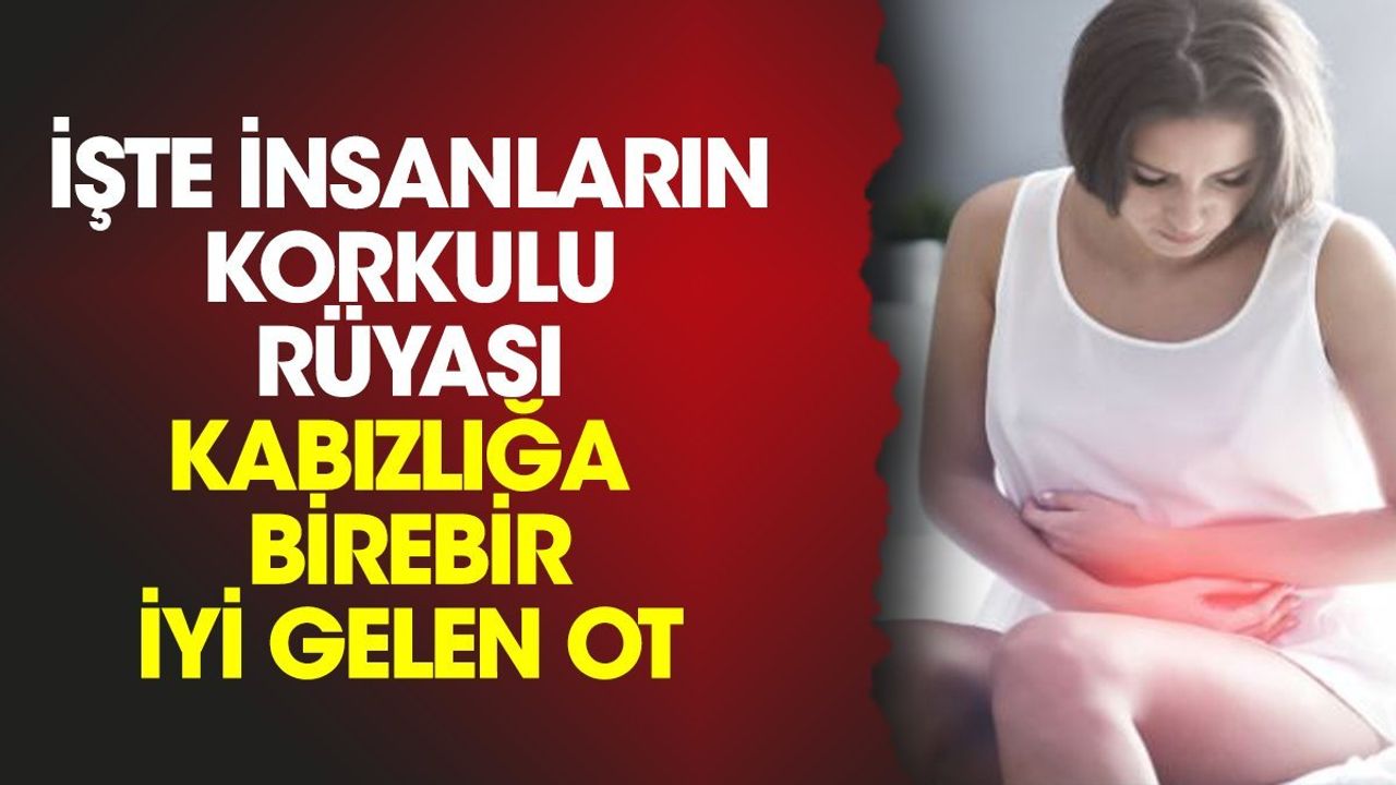 İnsanların Korkulu Rüyası Kabızlığa İyi Gelen Meragülü Otu