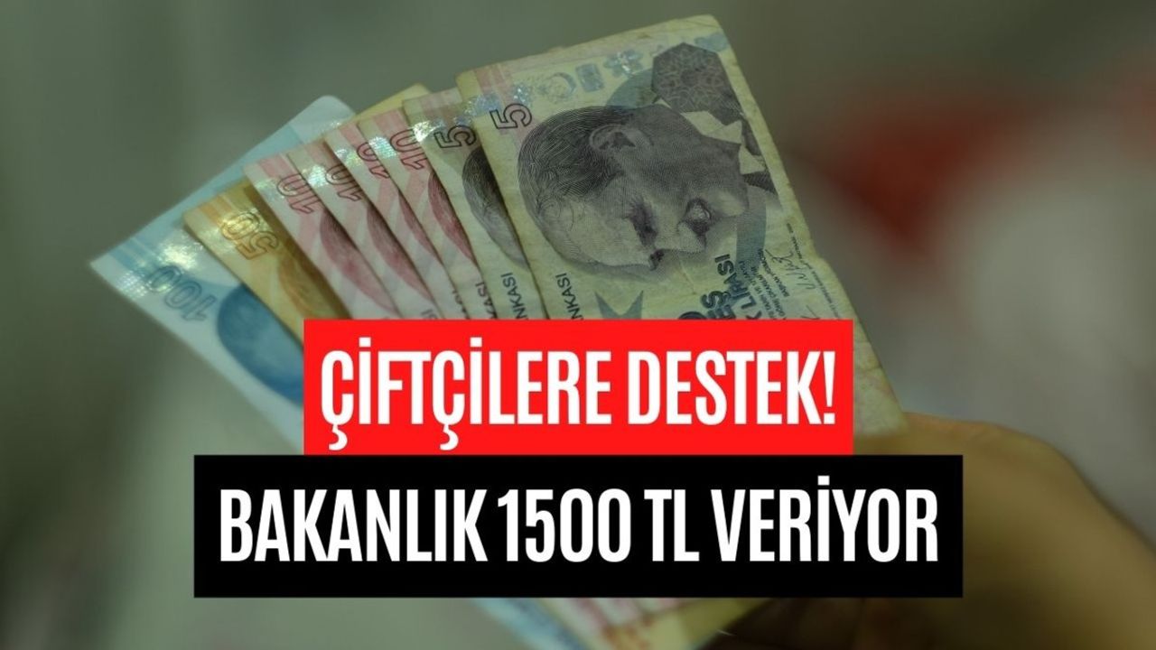 Tarım Bakanlığı 1500 TL Ödeme Yapıyor! Ton Başına Destek Açıklandı