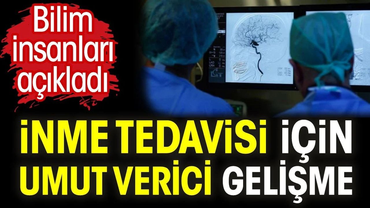 İnme Tedavisi İçin Yeni Bir Yöntem Geliştirildi