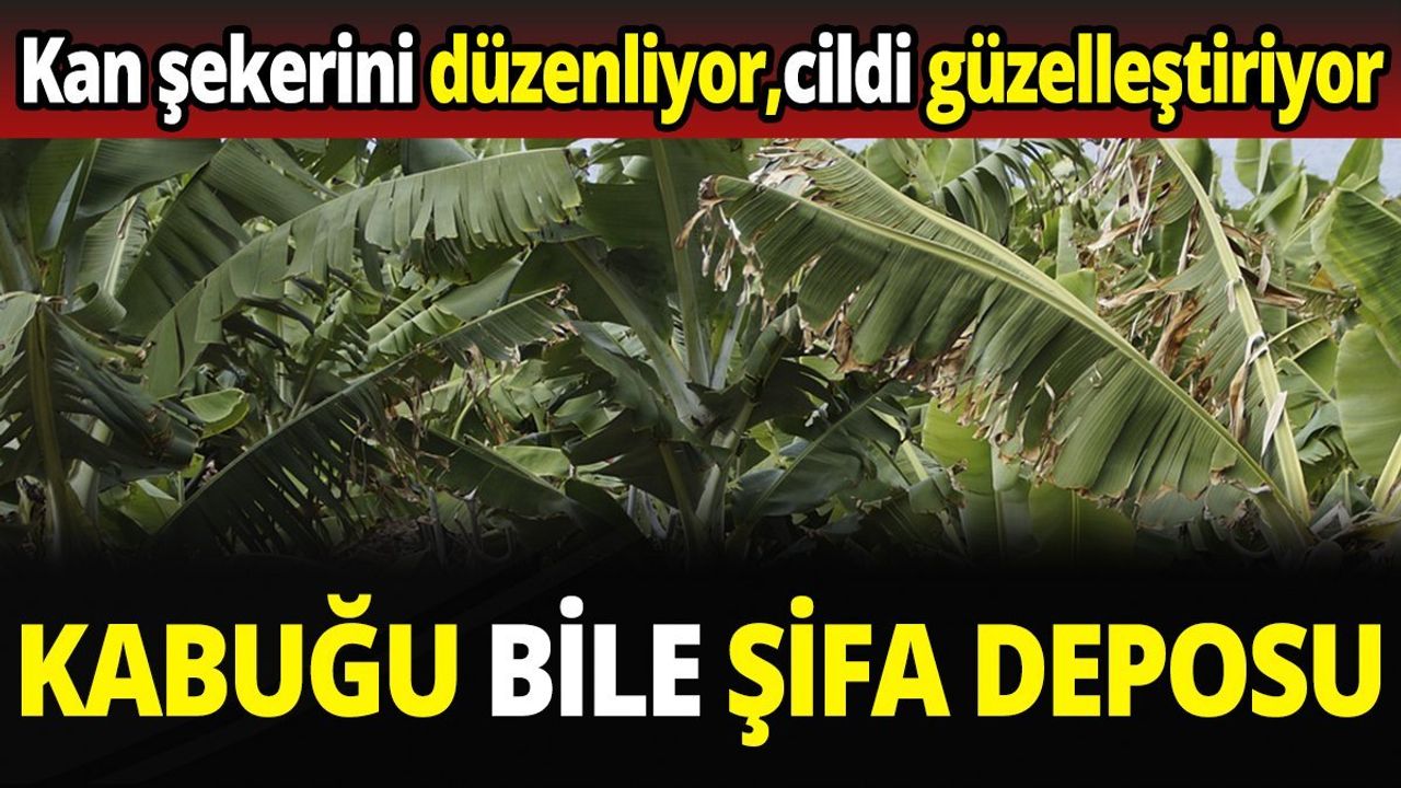 Kabuğu Bile Şifa Deposu! Kan Şekerini Düzenliyor, Cildi Güzelleştiriyor