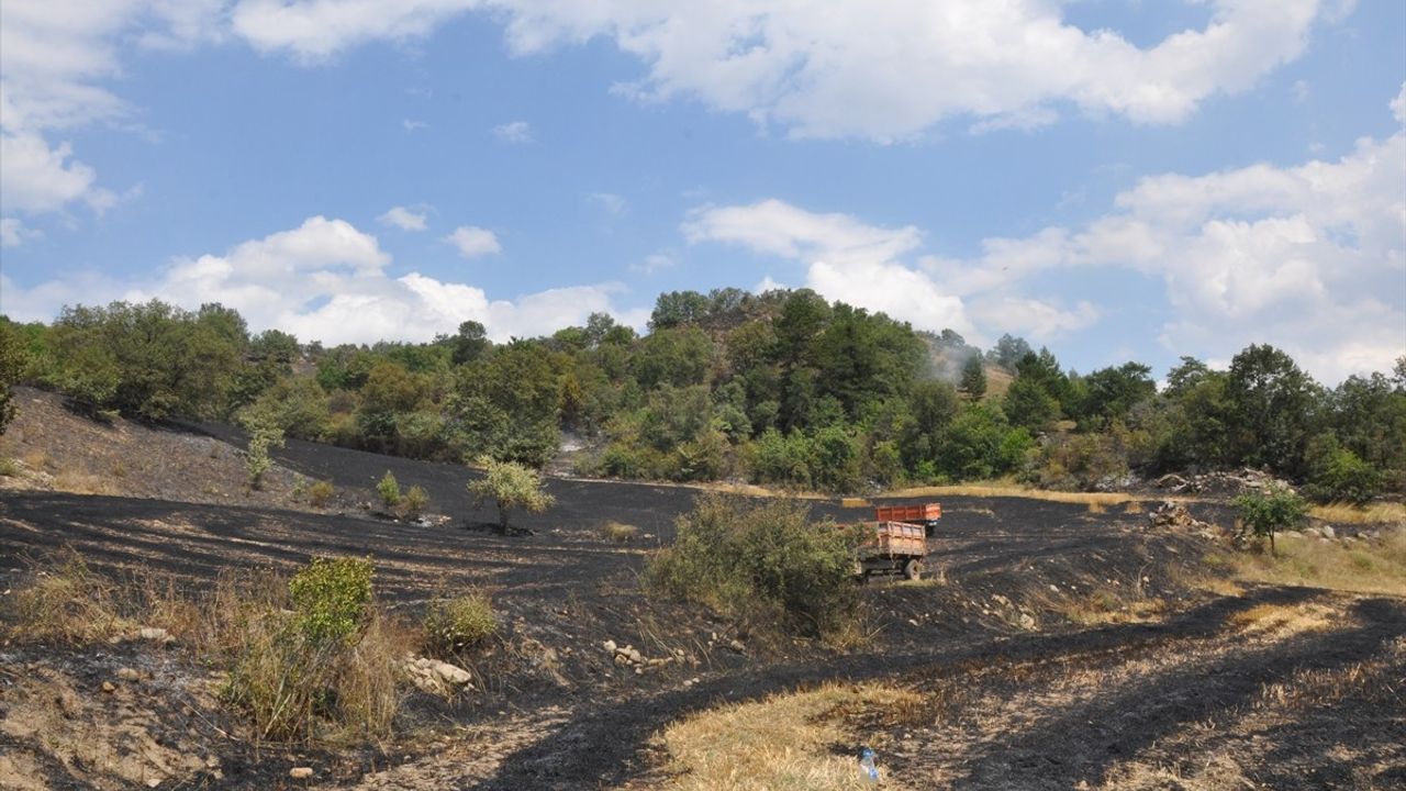 Amasya'da Yangın: 15 Dönüm Buğday Tarlası Zarar Gördu