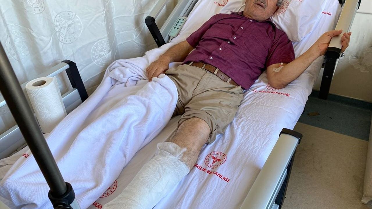 Antalya'da Sahipsiz Köpek Saldırısı: Bisikletli Adam Yaralandı